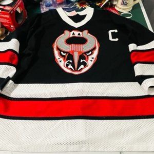 Birmingham Bulls ECHL Vintage Sewn Name Number Hockey Jersey